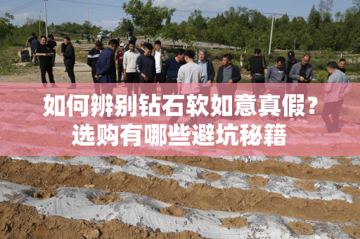 如何辨别钻石软如意真假？选购有哪些避坑秘籍